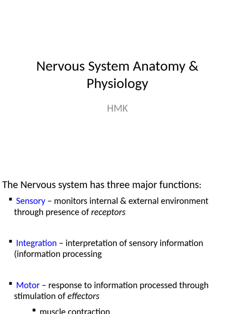Nervous System Structure and Function | PDF | Nervous System | Central ...