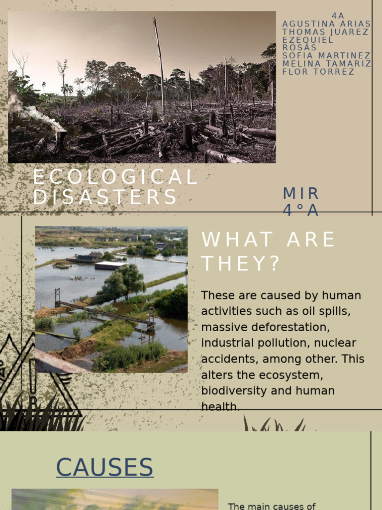 Causes and Solutions for Ecological Disasters | PDF