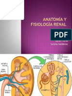 Anatomía y fisiología renal