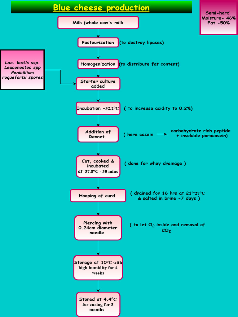 Assignment 6 Blue Cheese Production | PDF