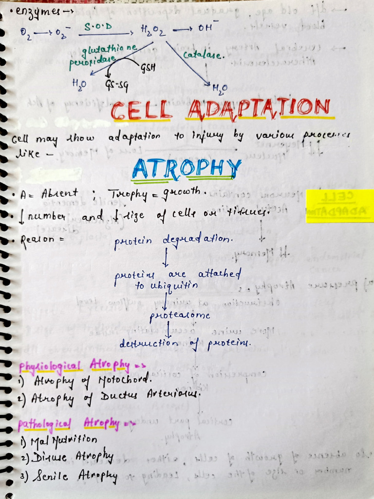 2 Cellular Adaptation | PDF