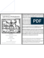 PDF Flyer Lsib