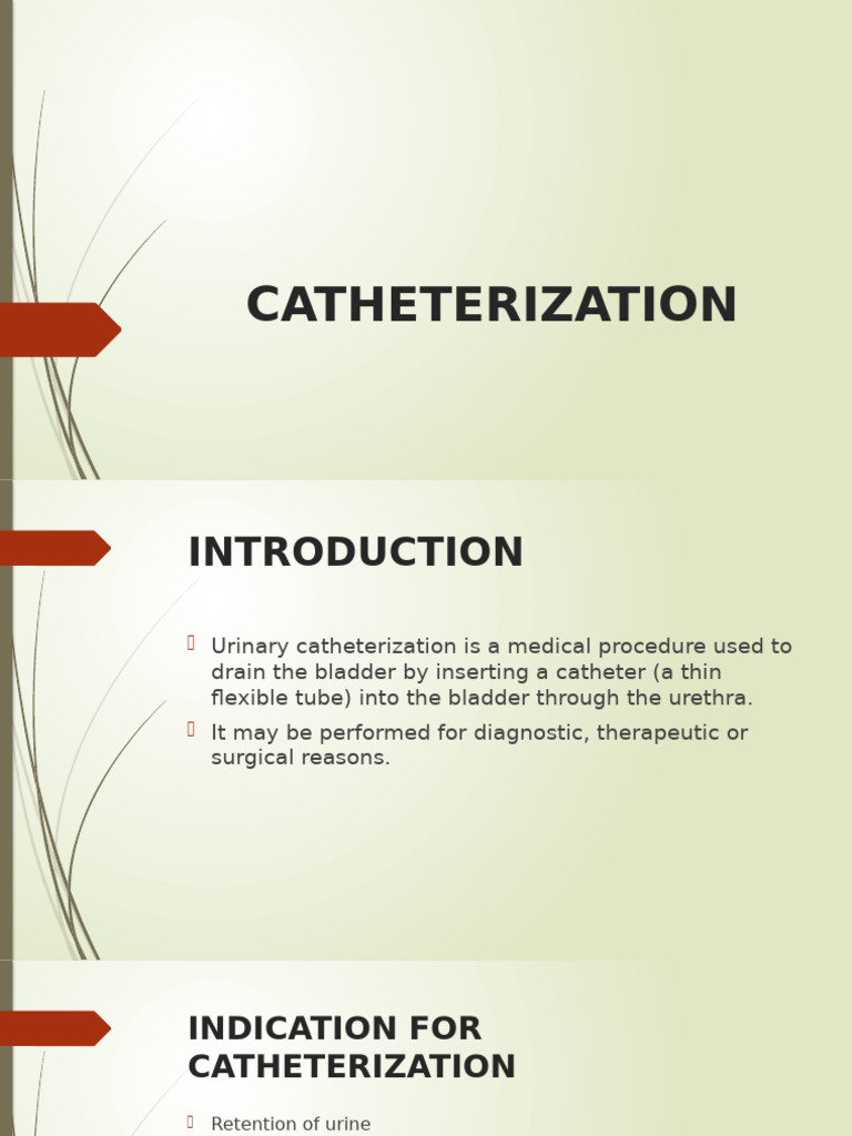 Catheterization | PDF | Urinary System | Genitourinary System