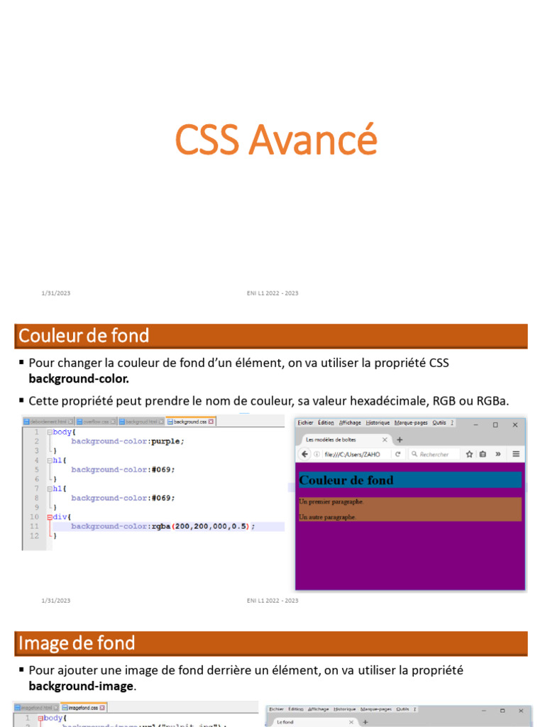 Guide CSS Avancé : Propriétés et Sélecteurs | PDF | l'Internet ...