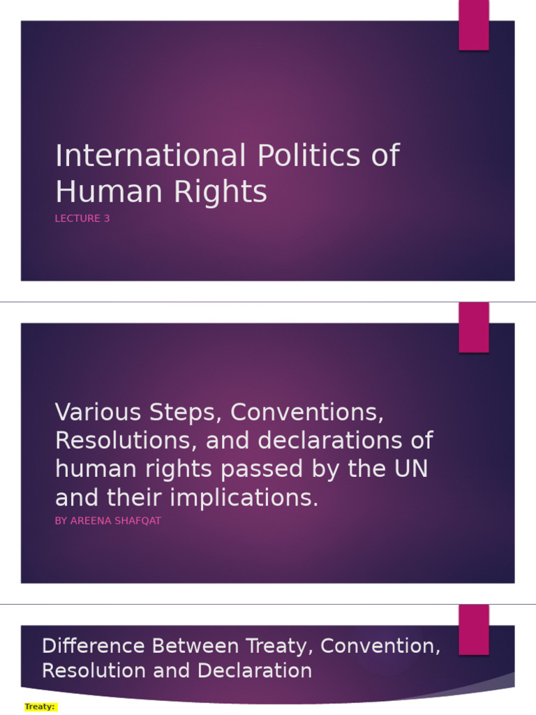 UN Human Rights Treaties and Mechanisms | PDF | Human Rights | Social ...