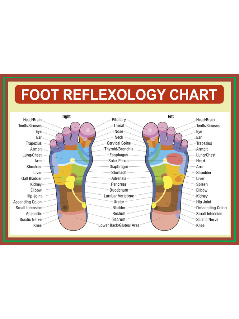 Foot Chart | PDF