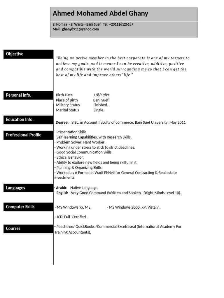 CV 1 | PDF