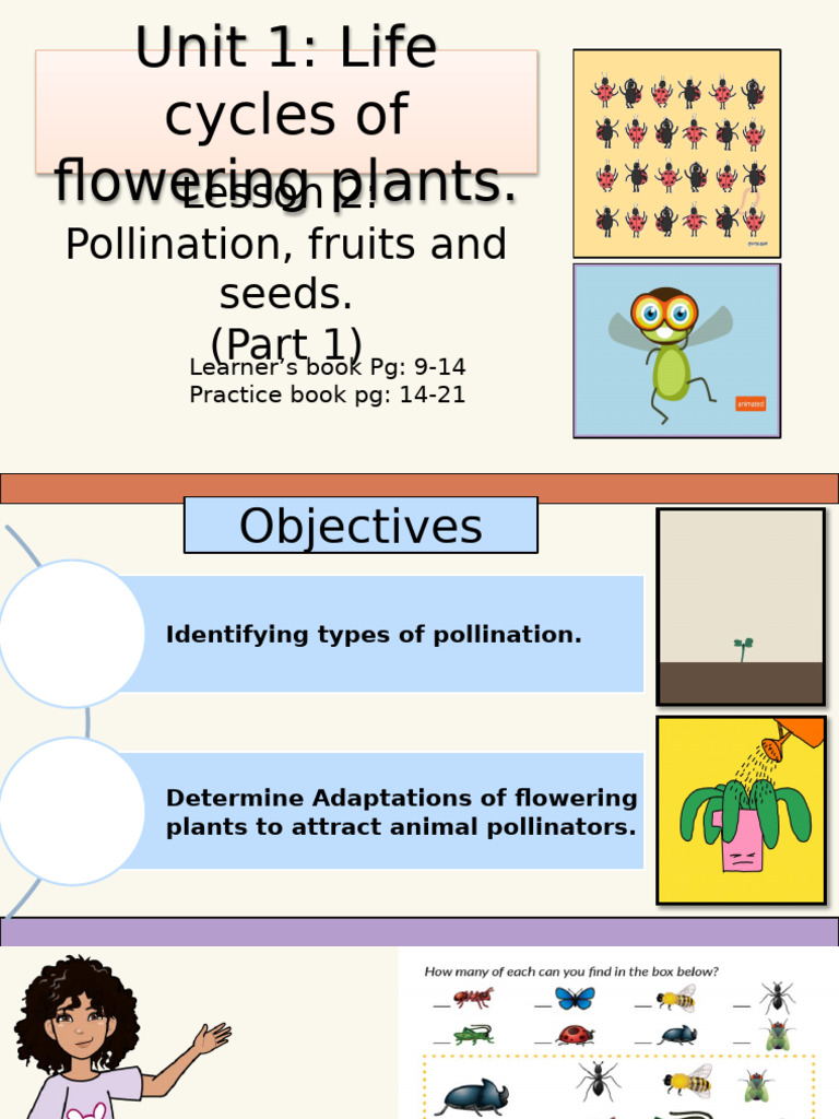 Pollination and Flower Adaptations | PDF | Flowers | Pollination