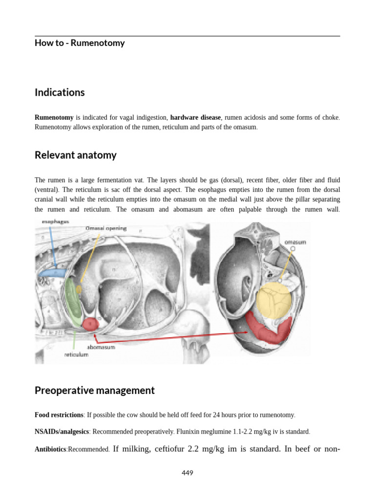 Rumenotomy Procedure Guide | PDF | Surgical Suture | Medical Specialties
