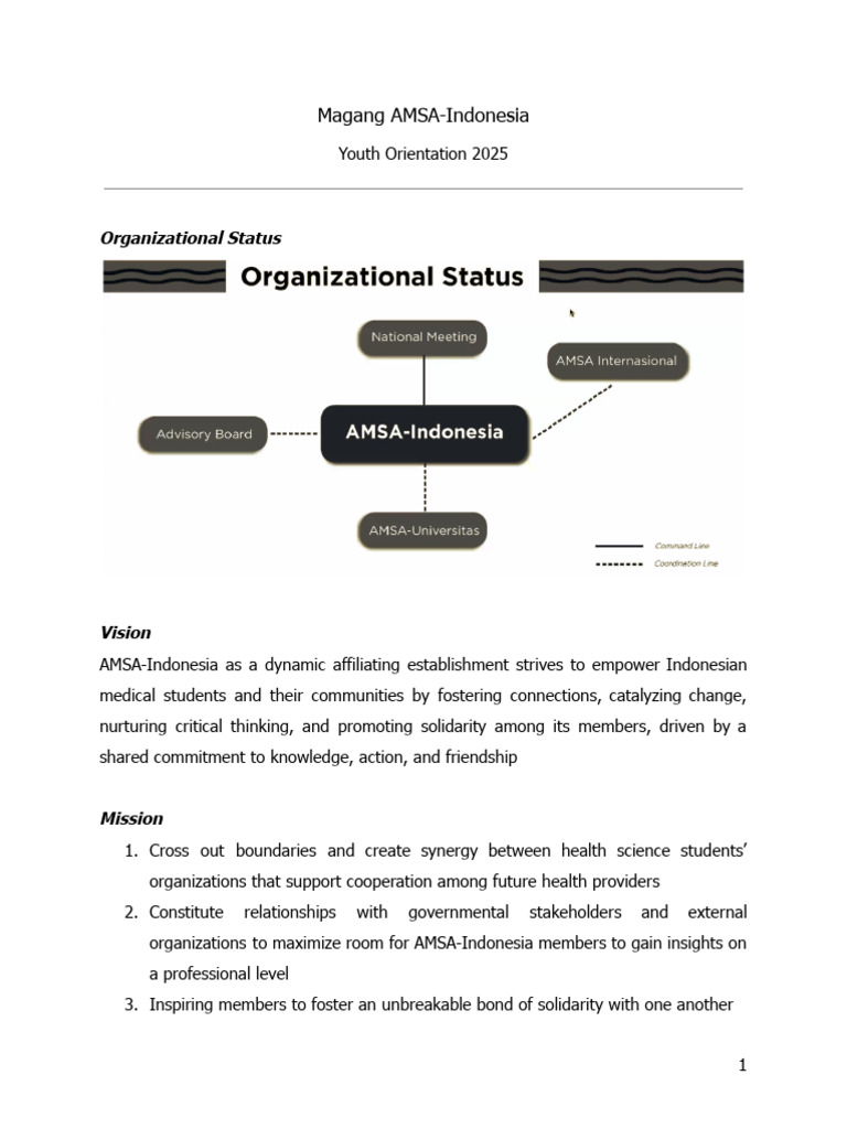 Magang AMSA-Indonesia: Program dan Visi 2025 | PDF