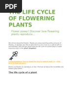 Seed Formation and Dispersal Methods | PDF | Fertilisation | Flowers