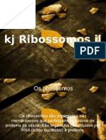 ribossomos