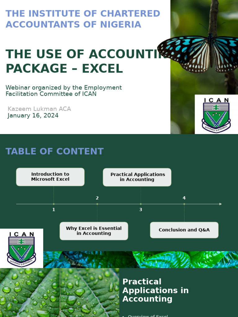 The Use of Accounting Package Excel | PDF
