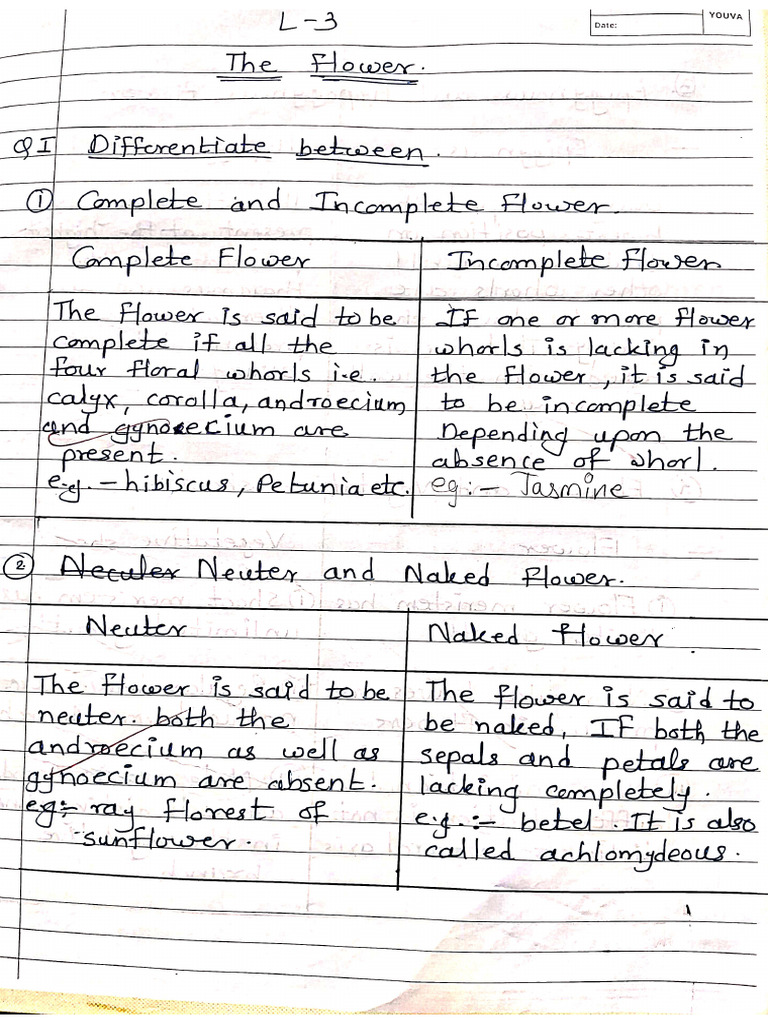 Biology 9th STD Notes | PDF