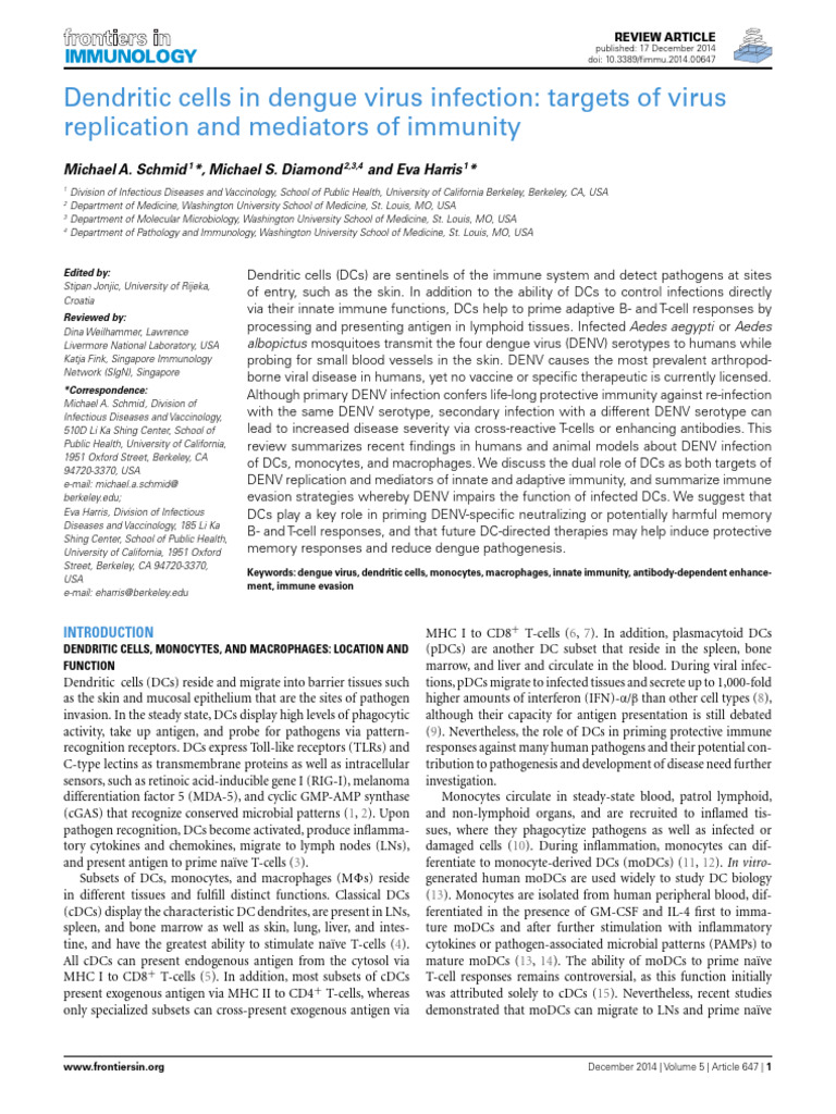 Dendritic Cells and Dengue Virus Immunity | PDF | Dendritic Cell ...
