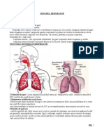 c5 Sistemul Respirator