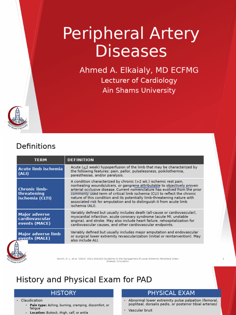 2024 Guidelines for Peripheral Artery Disease | PDF | Cardiovascular ...