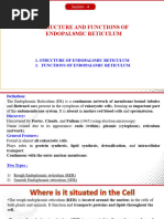 SER vs RER: Functions and Differences | PDF | Endoplasmic Reticulum ...