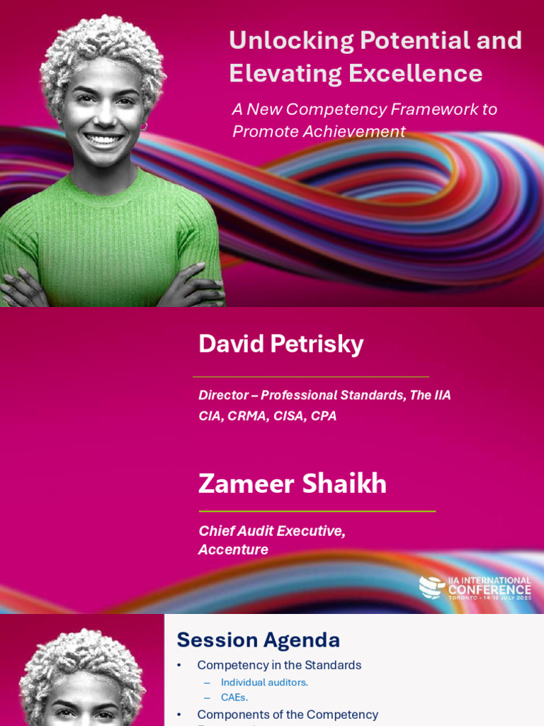 Internal Audit Competency Framework 2025 | PDF | Internal Audit | Audit