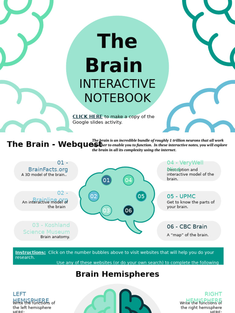 Muhammad Aayan Salman - The Brain - Interactive Notebook | PDF | Brain ...