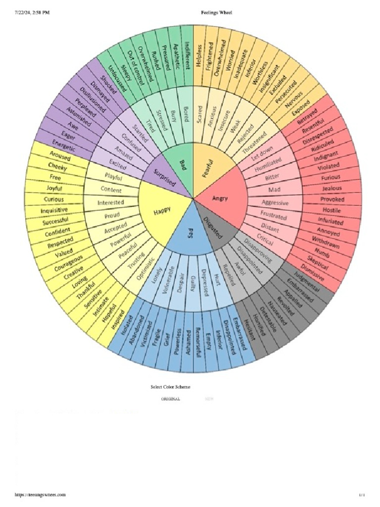 Feelings Wheel | PDF