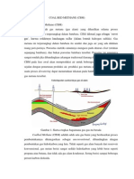 Coal Bed Methane