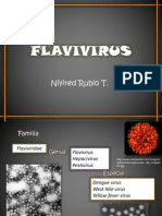 Flavivirus Niyi Fin[1].[1]