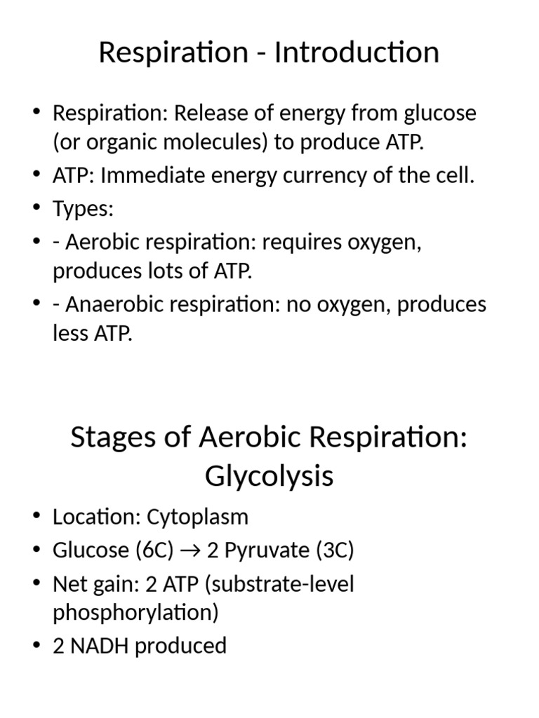 Respiration Notes Presentation | PDF