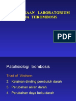 Pemeriksaan Lab PD Trombosis