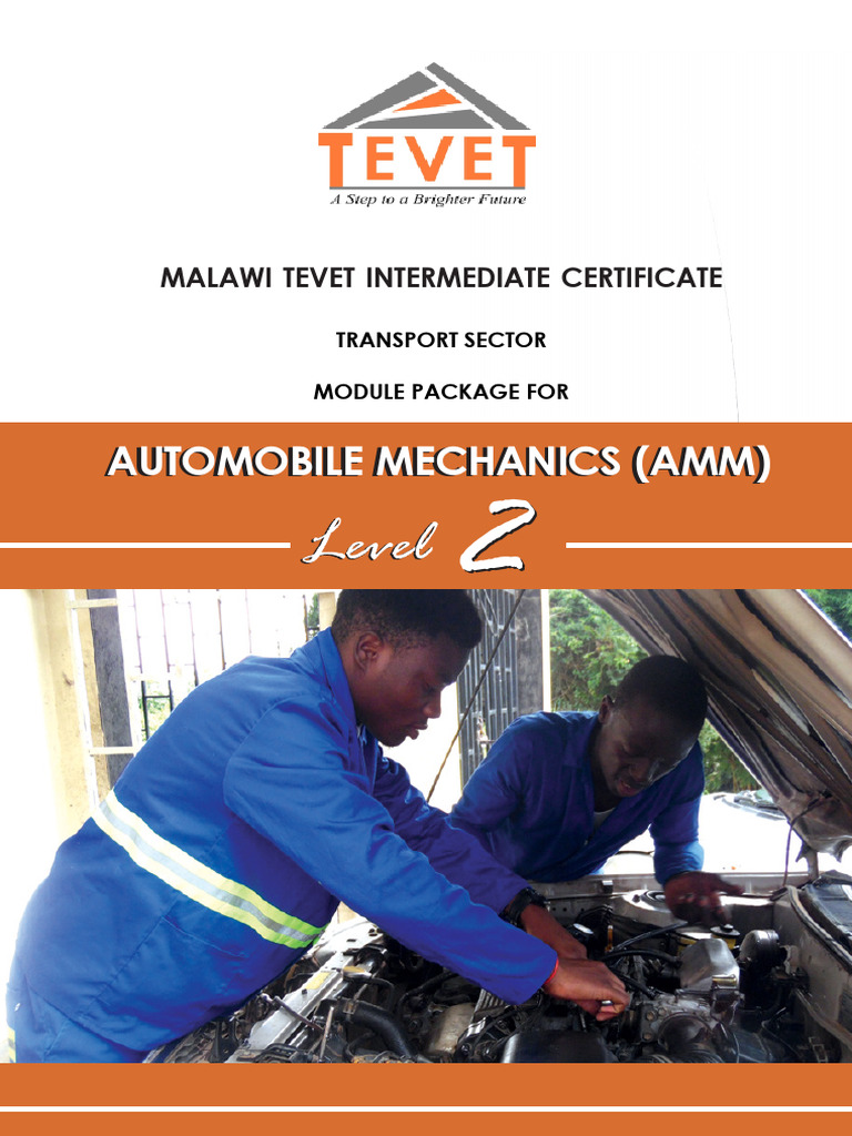 Malawi TEVET Level 2 Auto Mechanics Guide | PDF | Learning | Fuel Injection