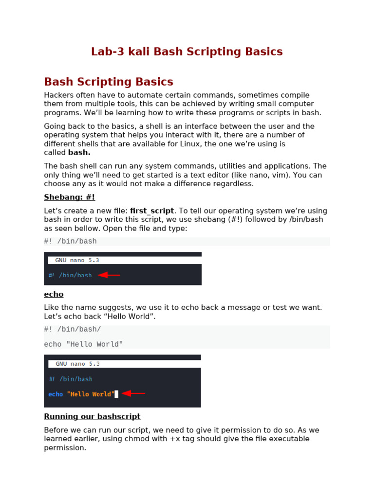 Lab-3 Kali Bash Scripting Basics | PDF | Scripting Language | Computer ...