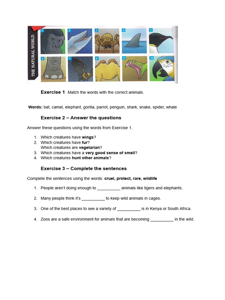 Animal Matching and Wildlife Exercises | PDF