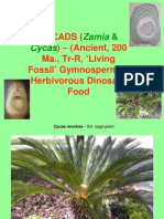 CYCAS Reduced