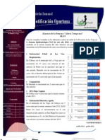 Boletin Semanal SE.19