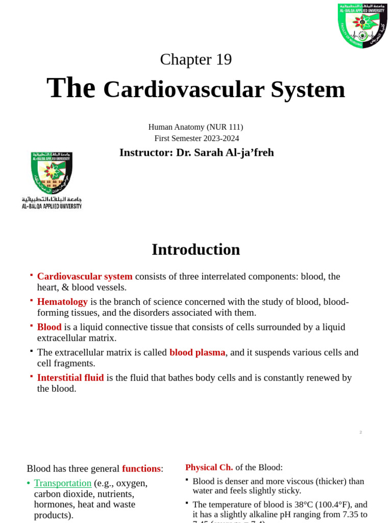 Ch10 The Cardiovascular System I Blood | PDF | Blood Plasma | White ...