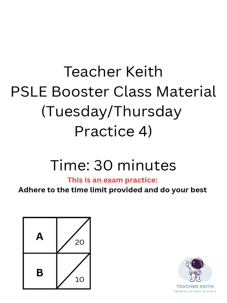 PSLE Booster Class Material (TuesdayThursday Practice 4) | PDF