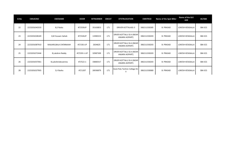 Prasad Balance Scs 06 10 25 | PDF