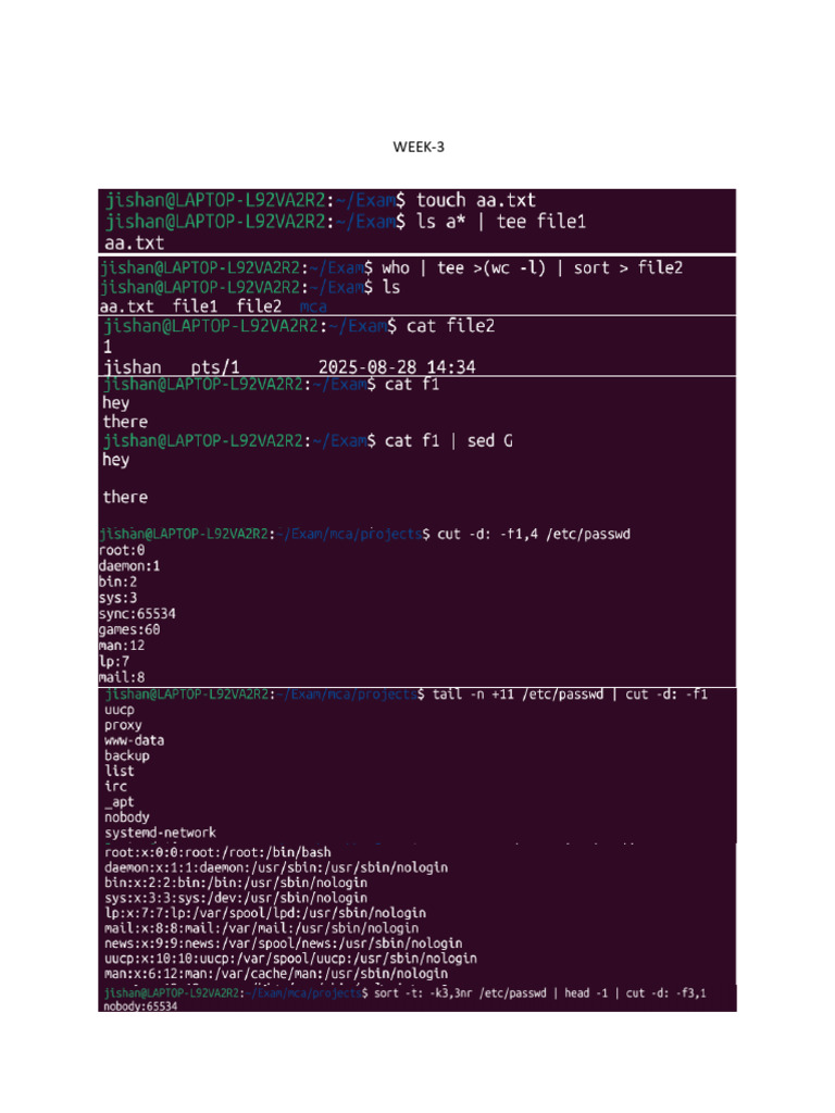 Oslab | PDF
