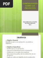 General Ida Des Sobre Los Proyectos