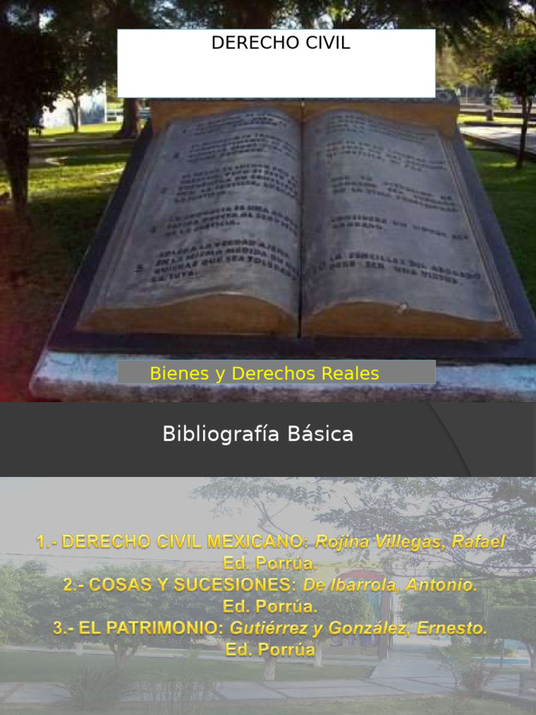 Bienes y Derechos Reales en Derecho Civil | PDF | Bienes (Ley) | Derechos