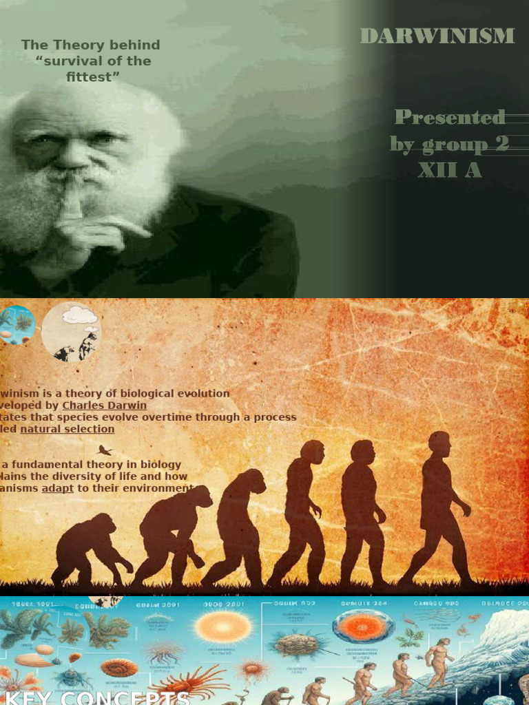 BIO Darwinism Group 2 | PDF | Natural Selection | Evolution