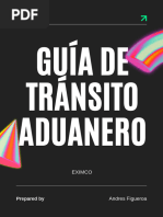 Metodología VVTT: Inspección y Procedimientos | PDF