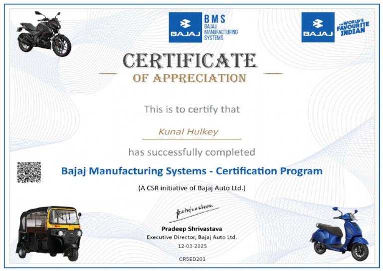 BMS Certification Program - English - Compressed | PDF