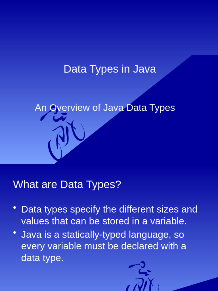 Overview of Java Data Types | PDF