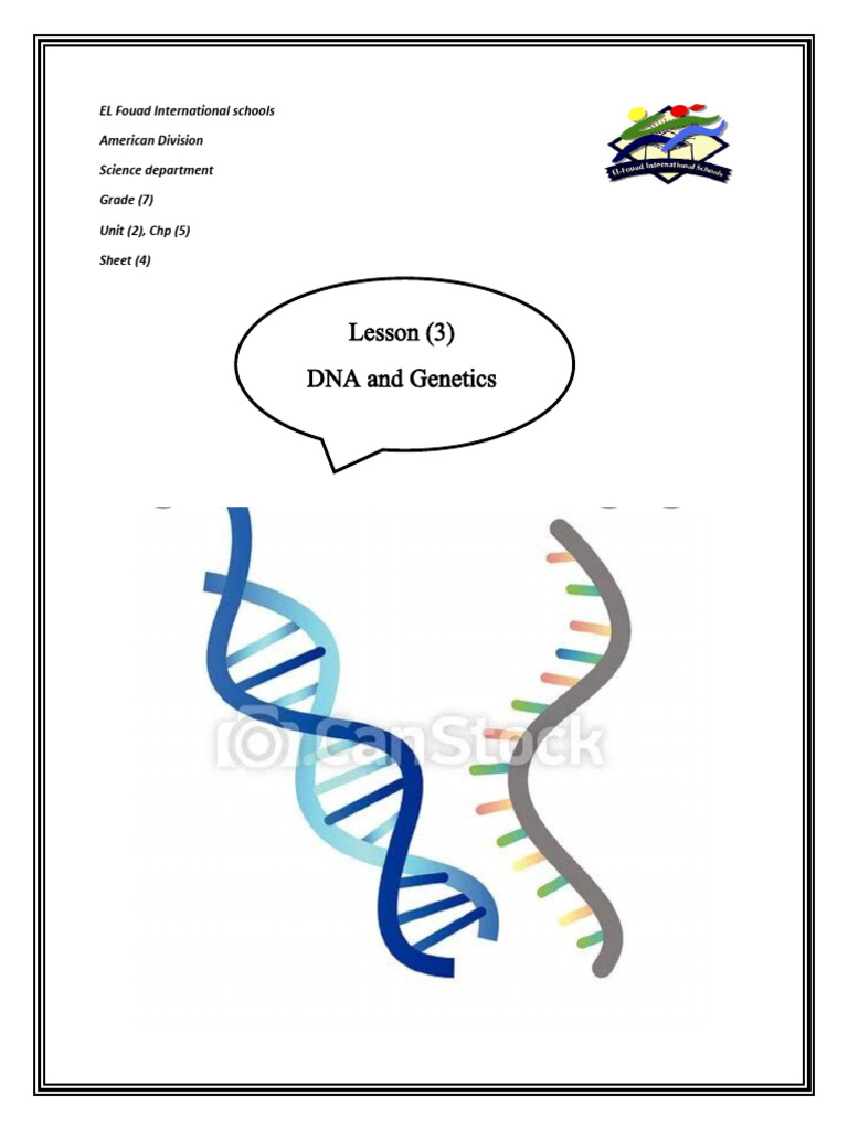 DNA and Genetics Overview for Grade 7 | PDF