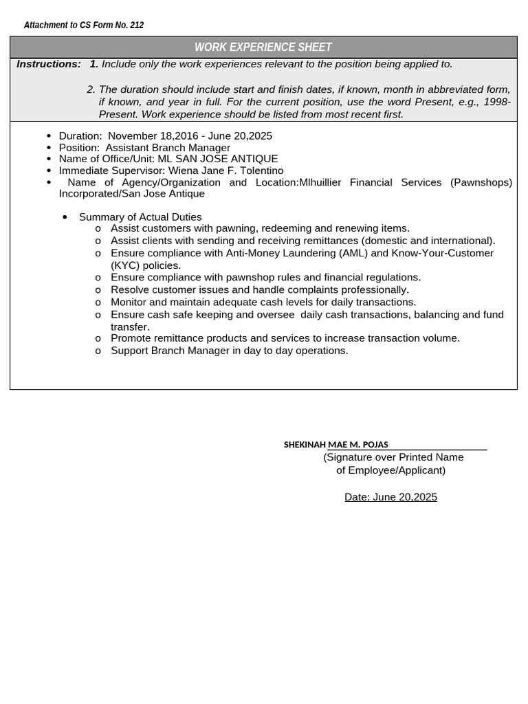 Work Experience Sheet for Assistant Manager | PDF