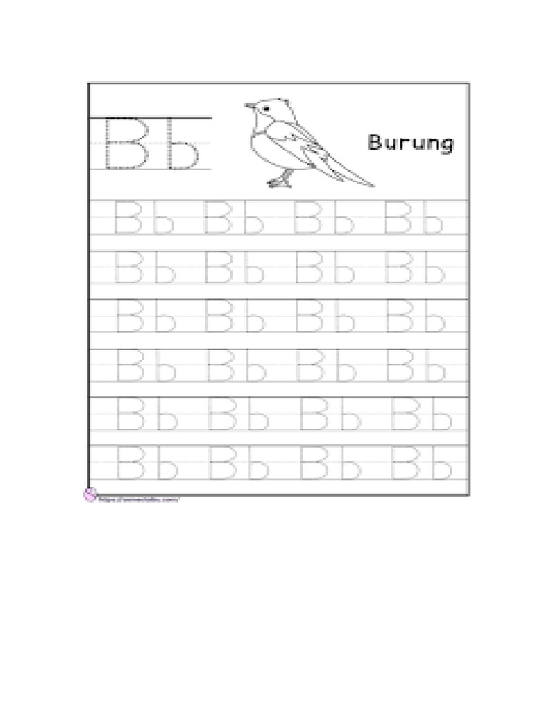 Burung BB | PDF