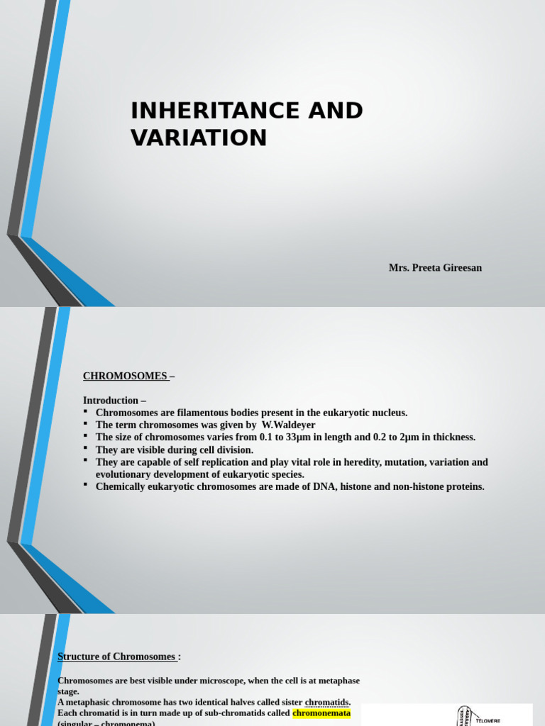 Chromosome Structure and Inheritance | PDF | Dominance (Genetics ...