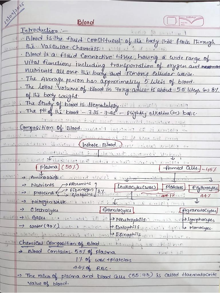 Blood Physiology Part-1 Notes | PDF