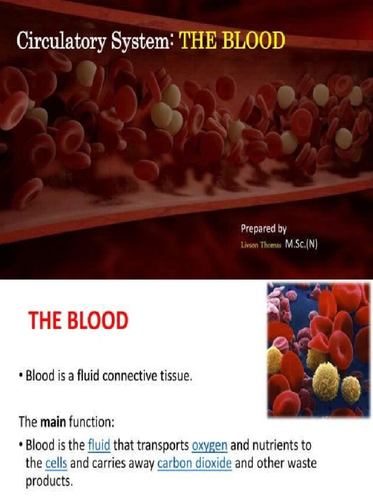 The Blood | PDF